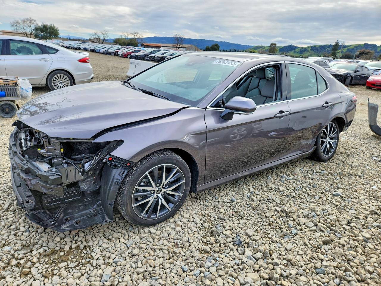 2024 TOYOTA CAMRY XLE photo 2