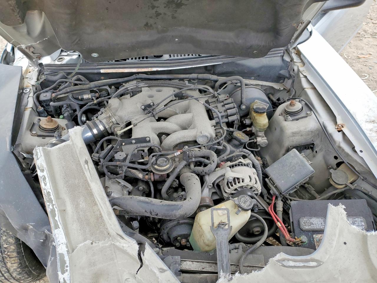2003 FORD MUSTANG photo 21