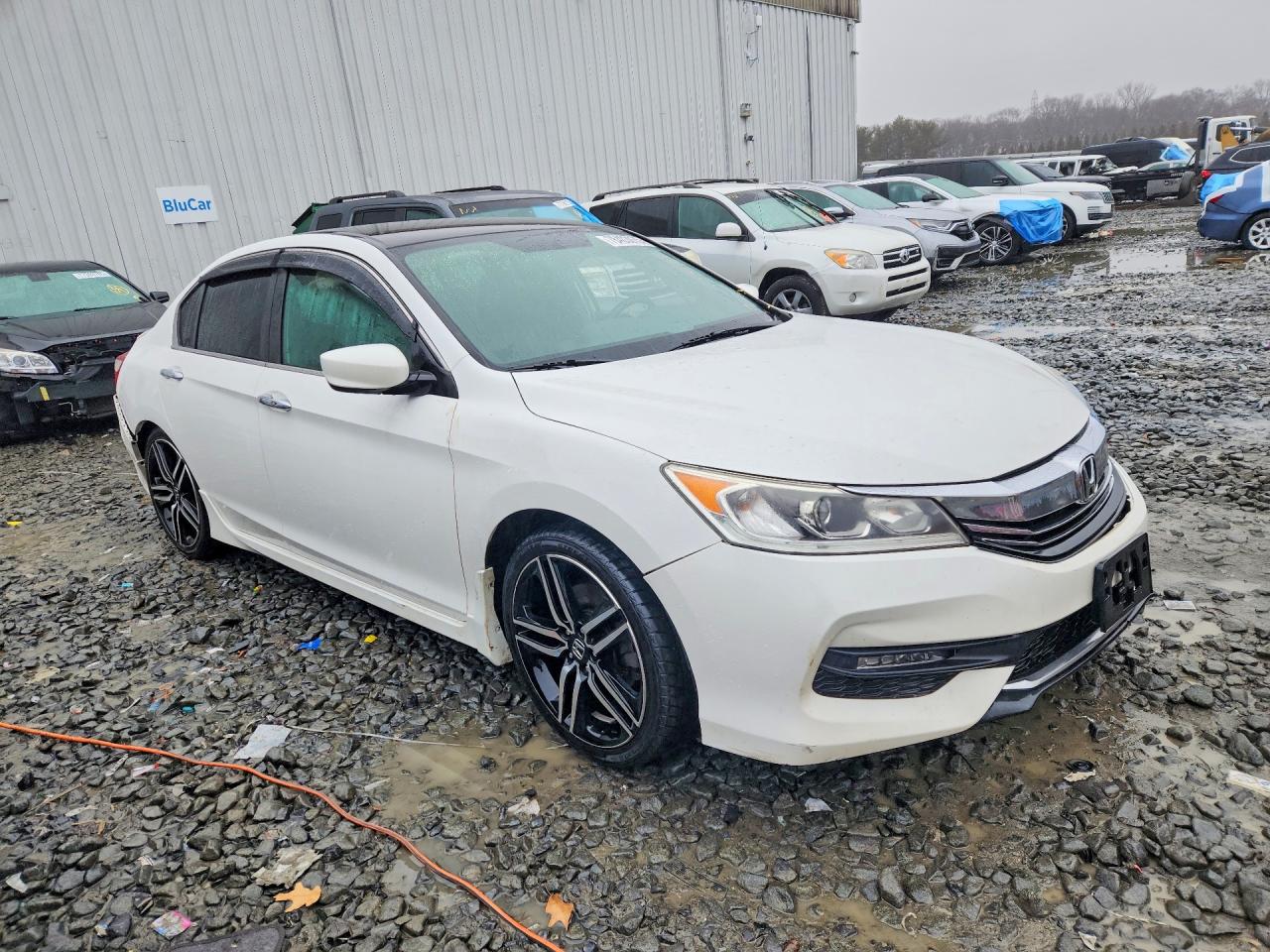 2017 HONDA ACCORD SPORT SPECIAL EDITION photo 10