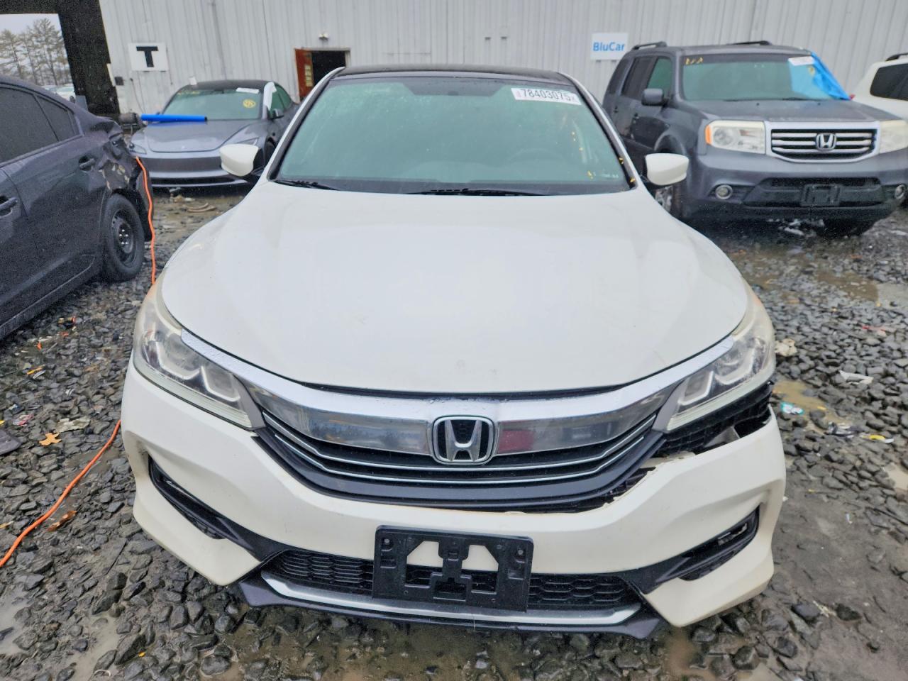 2017 HONDA ACCORD SPORT SPECIAL EDITION photo 13