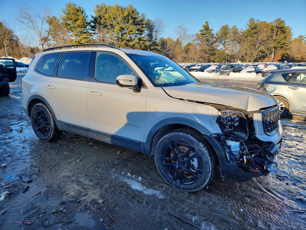 2025 KIA TELLURIDE SX photo 4