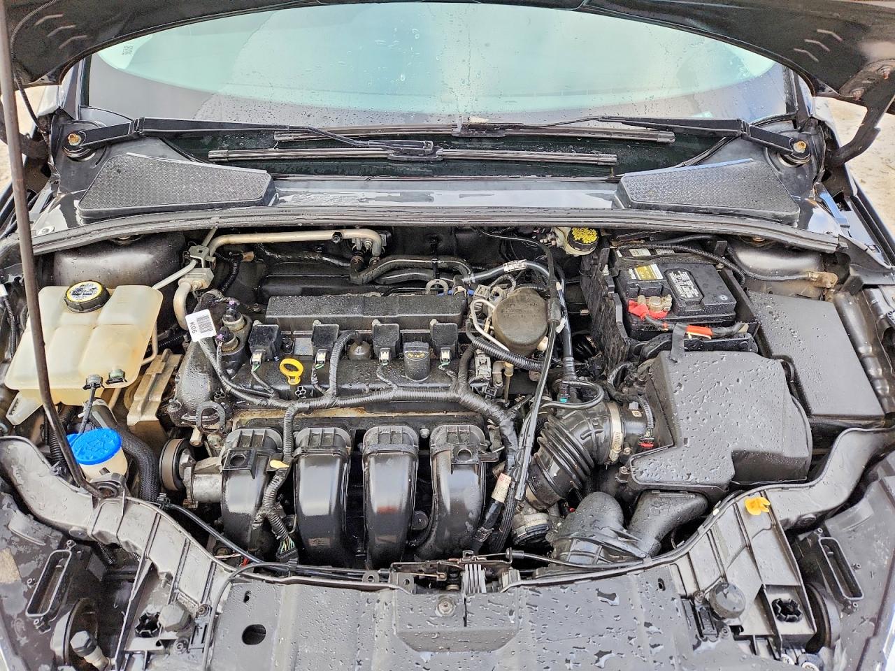 2015 FORD FOCUS SE photo 34