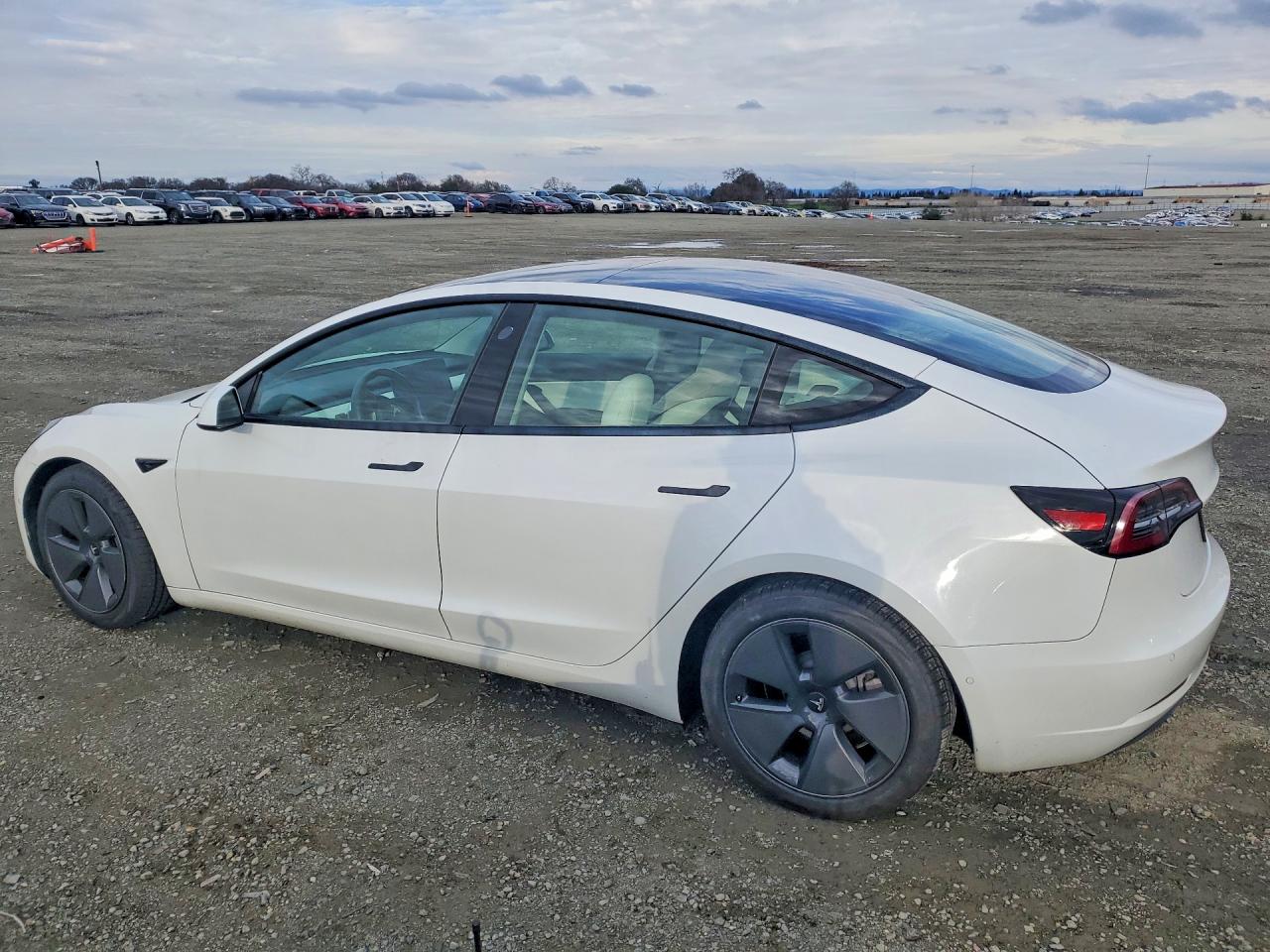 2021 TESLA MODEL 3 photo 2