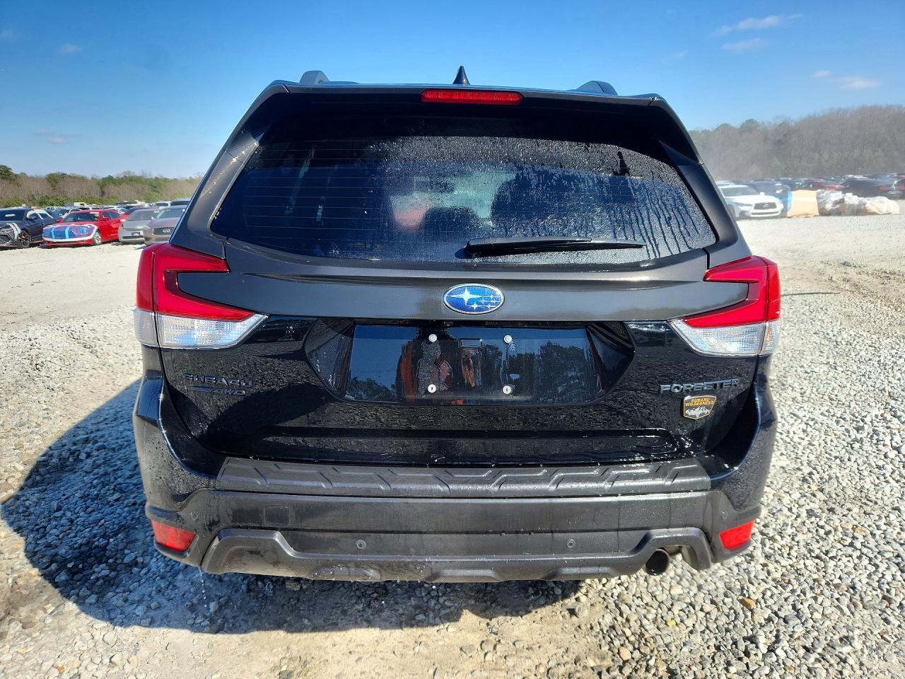 2024 SUBARU FORESTER WILDERNESS photo 6