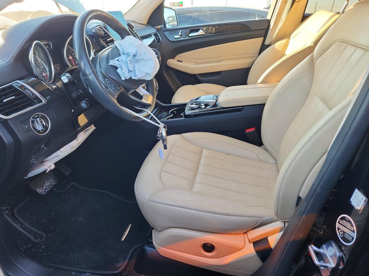 2019 MERCEDES-BENZ GLS 450 4MATIC photo 19