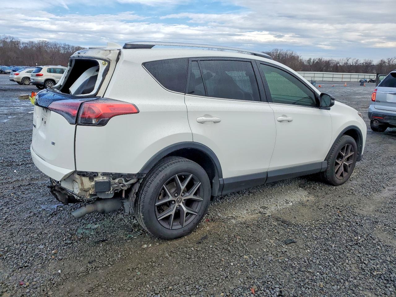 2016 TOYOTA RAV4 SE photo 3