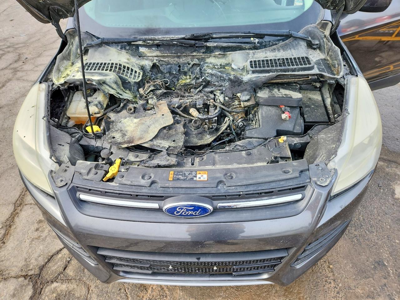 2015 FORD ESCAPE SE photo 12
