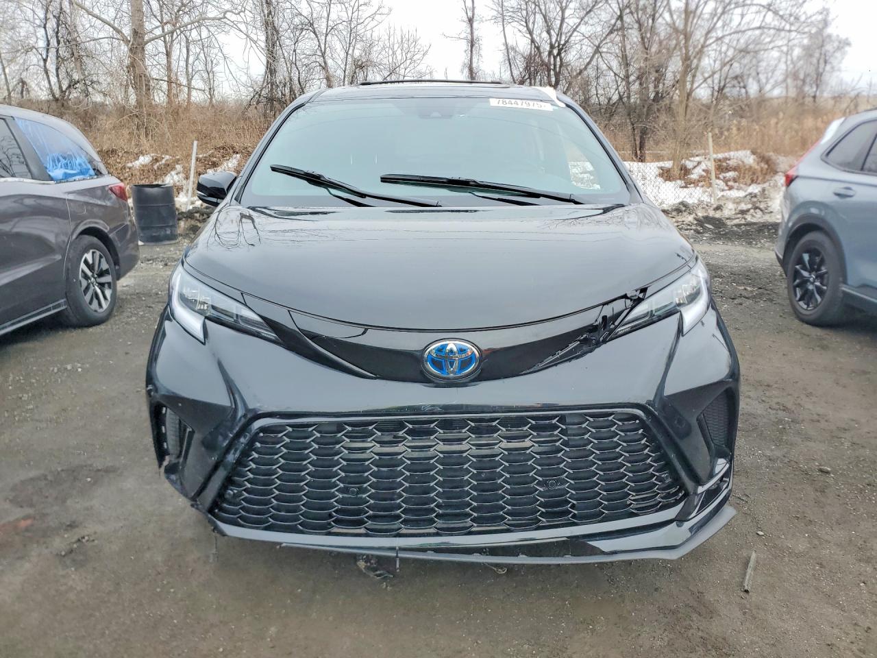 2025 TOYOTA SIENNA XSE photo 5