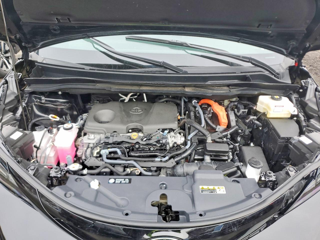2025 TOYOTA SIENNA XSE photo 12