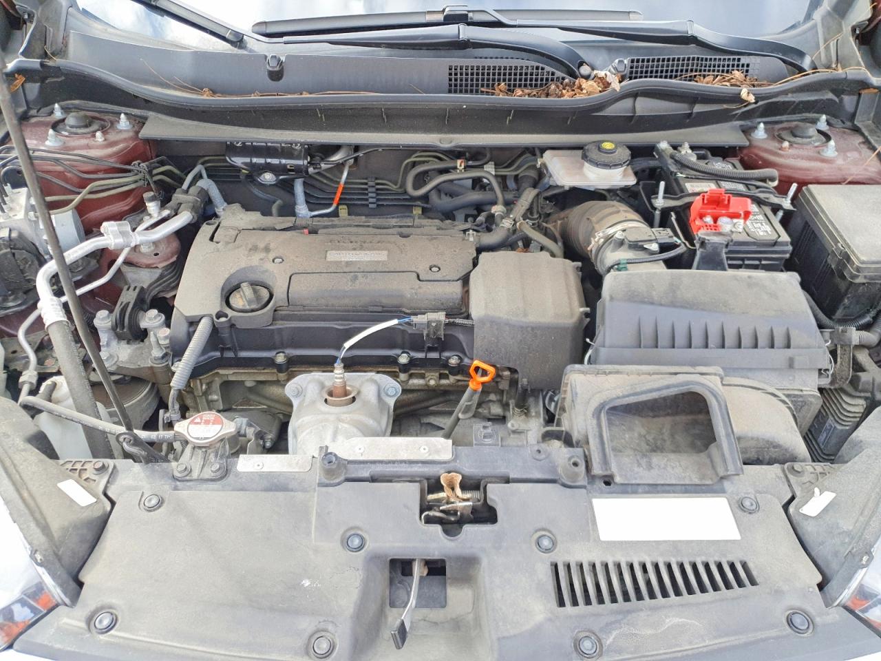 2017 HONDA CR-V LX photo 12