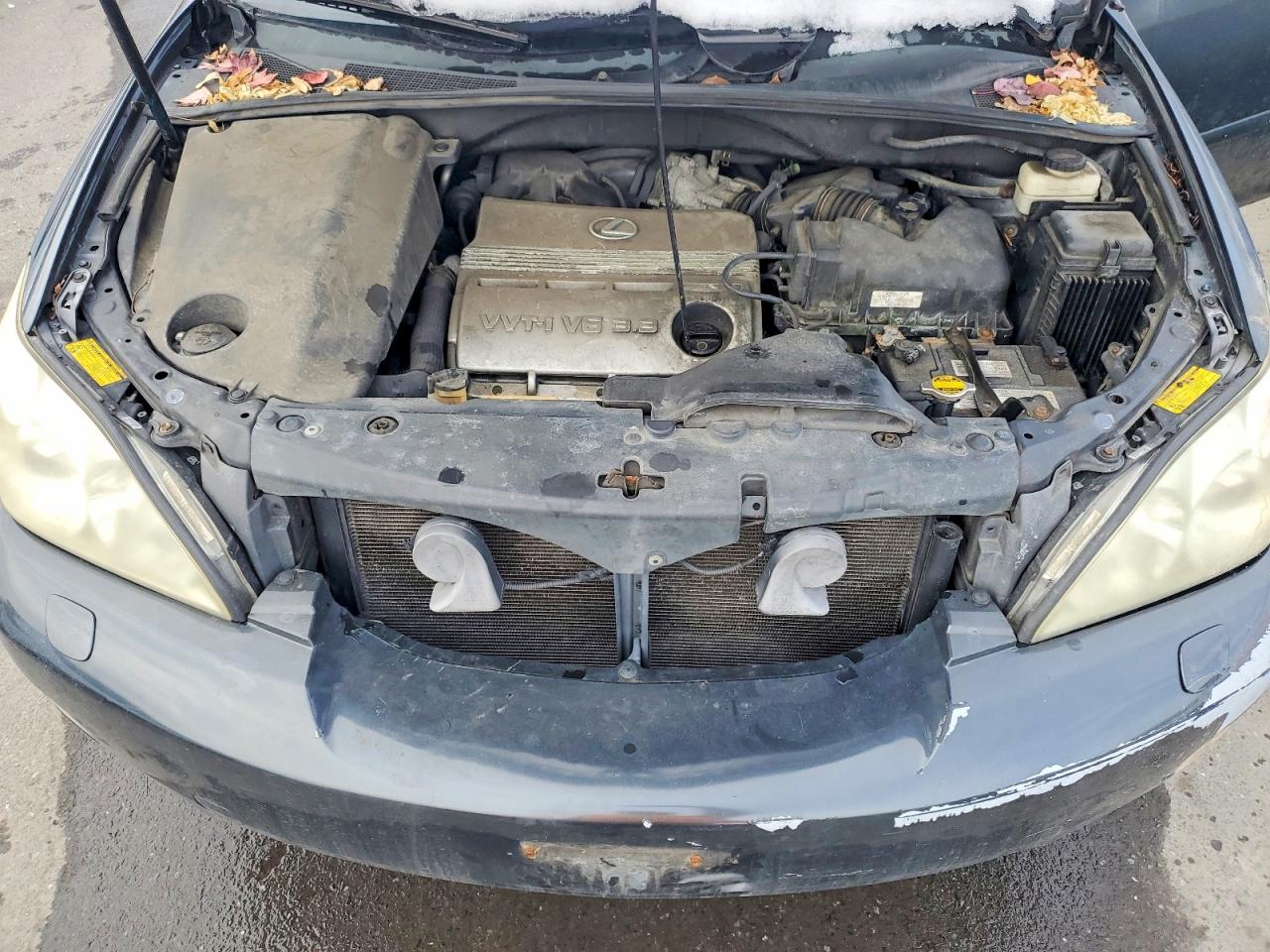 2006 LEXUS RX 330 photo 21