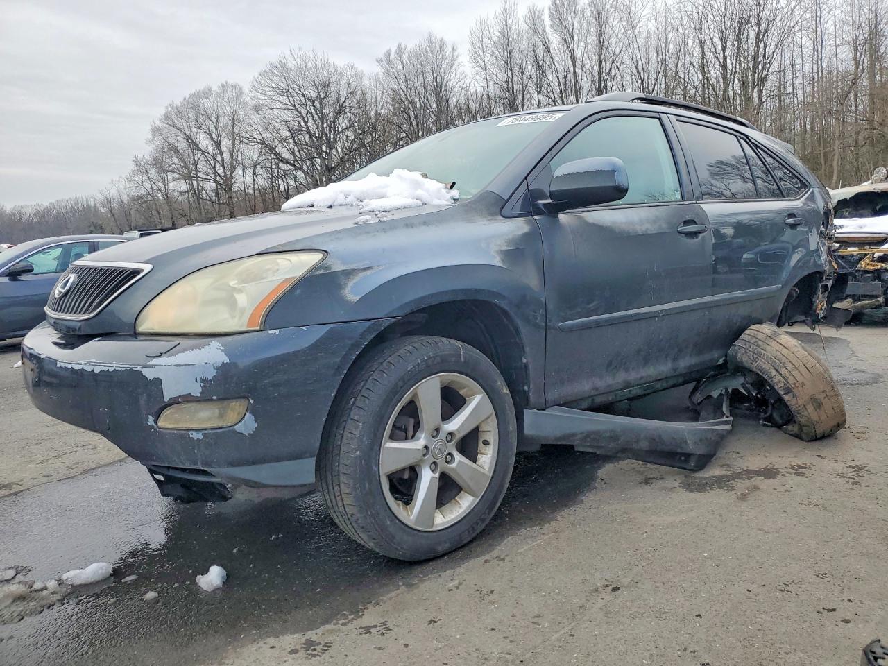 2006 LEXUS RX