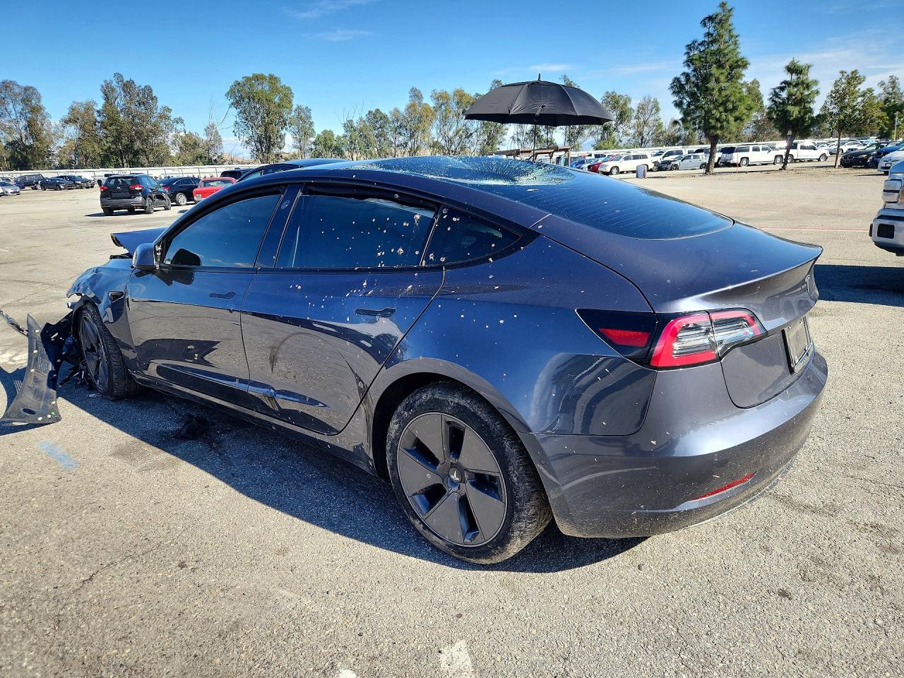 2021 TESLA MODEL 3 photo 3