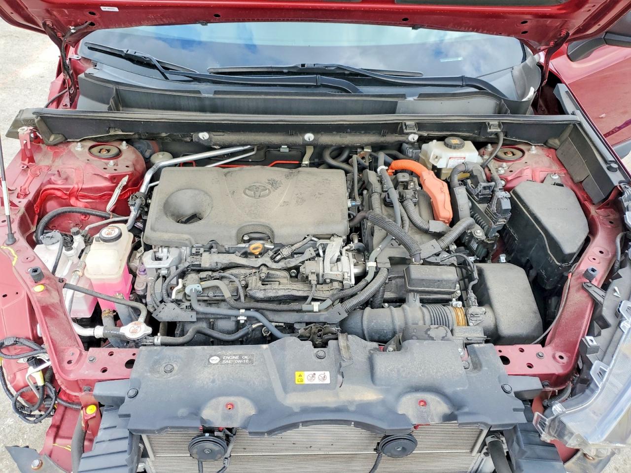 2019 TOYOTA RAV4 LE photo 12