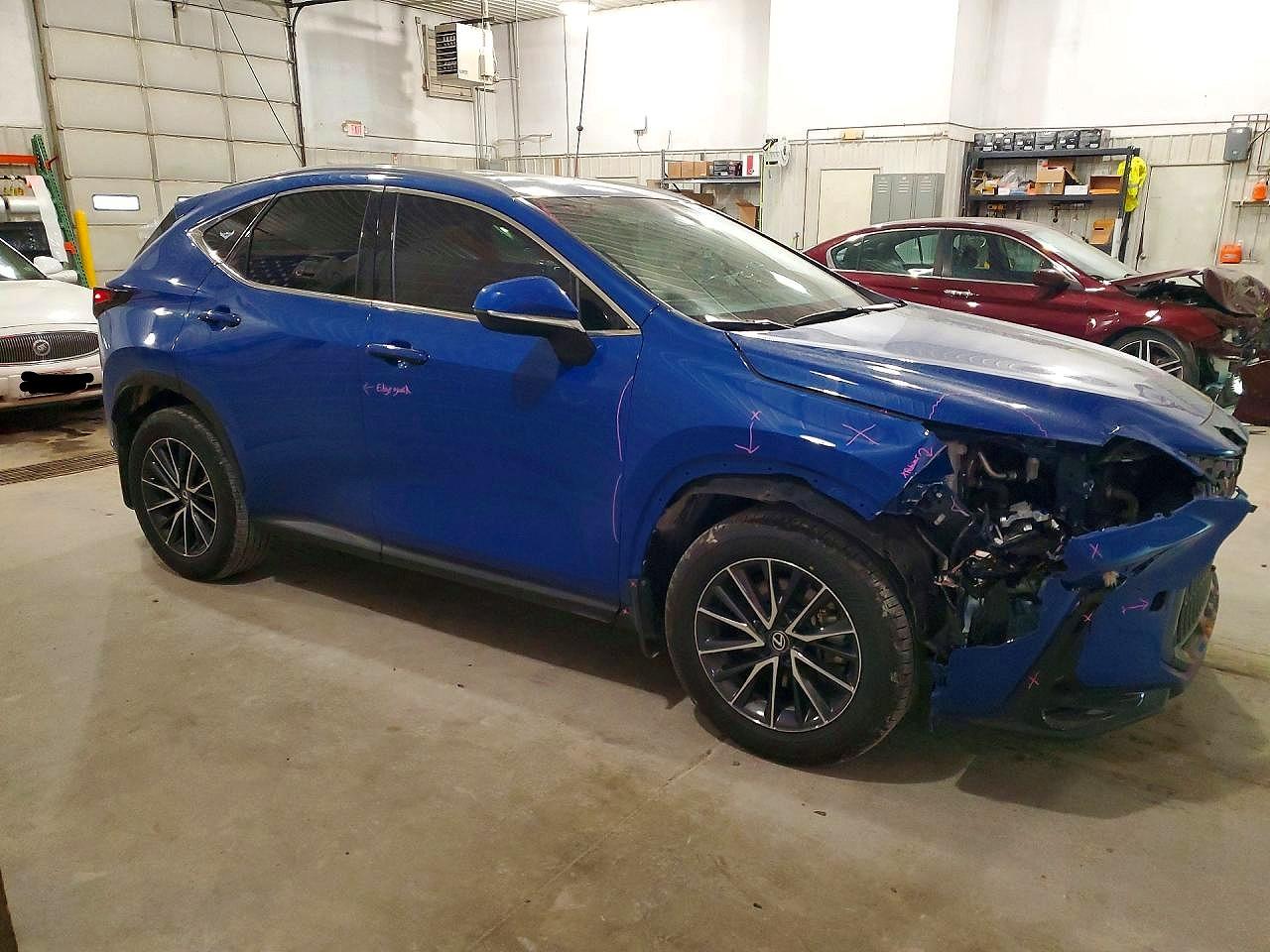2024 LEXUS NX photo 4