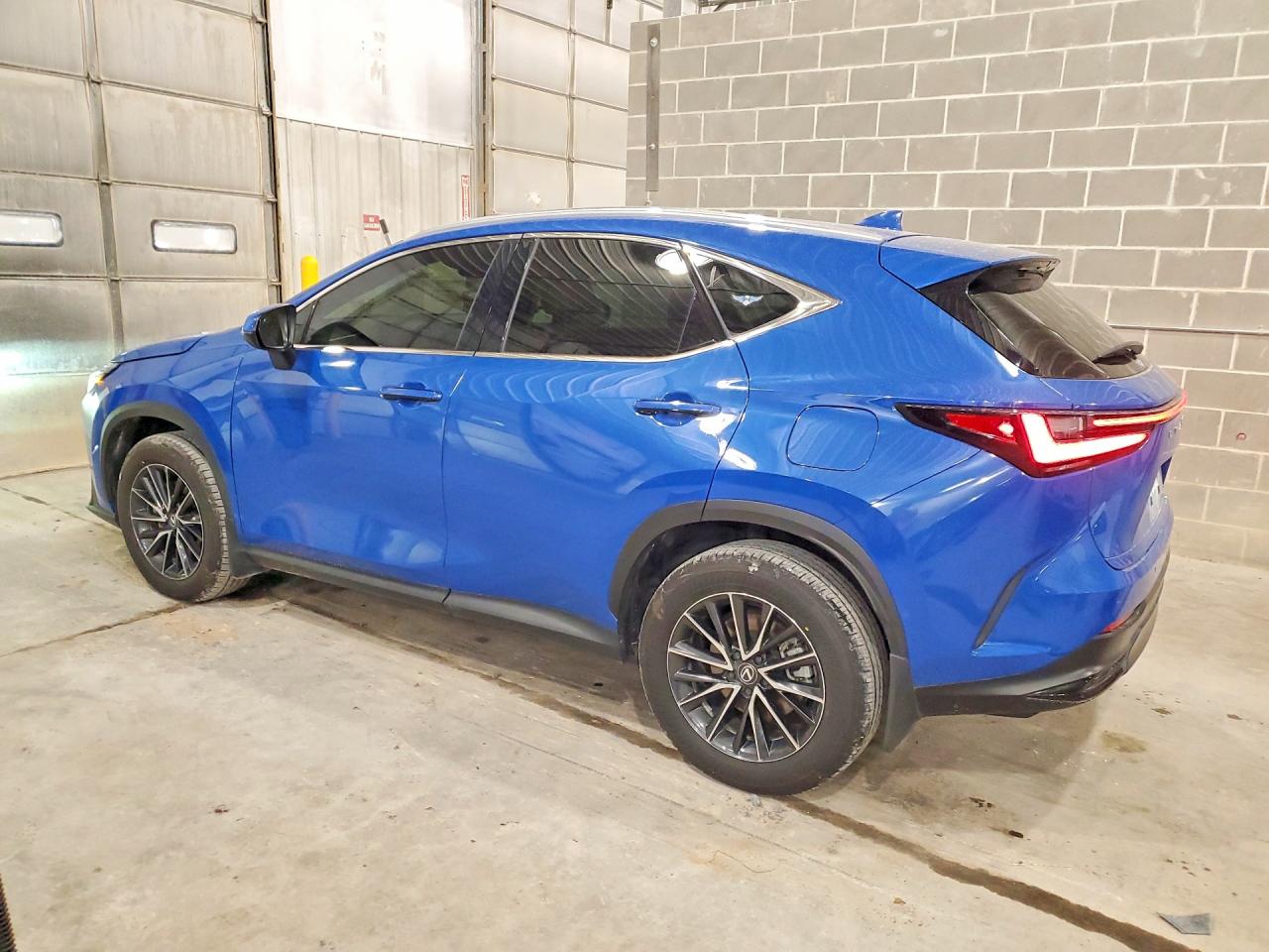 2024 LEXUS NX photo 2