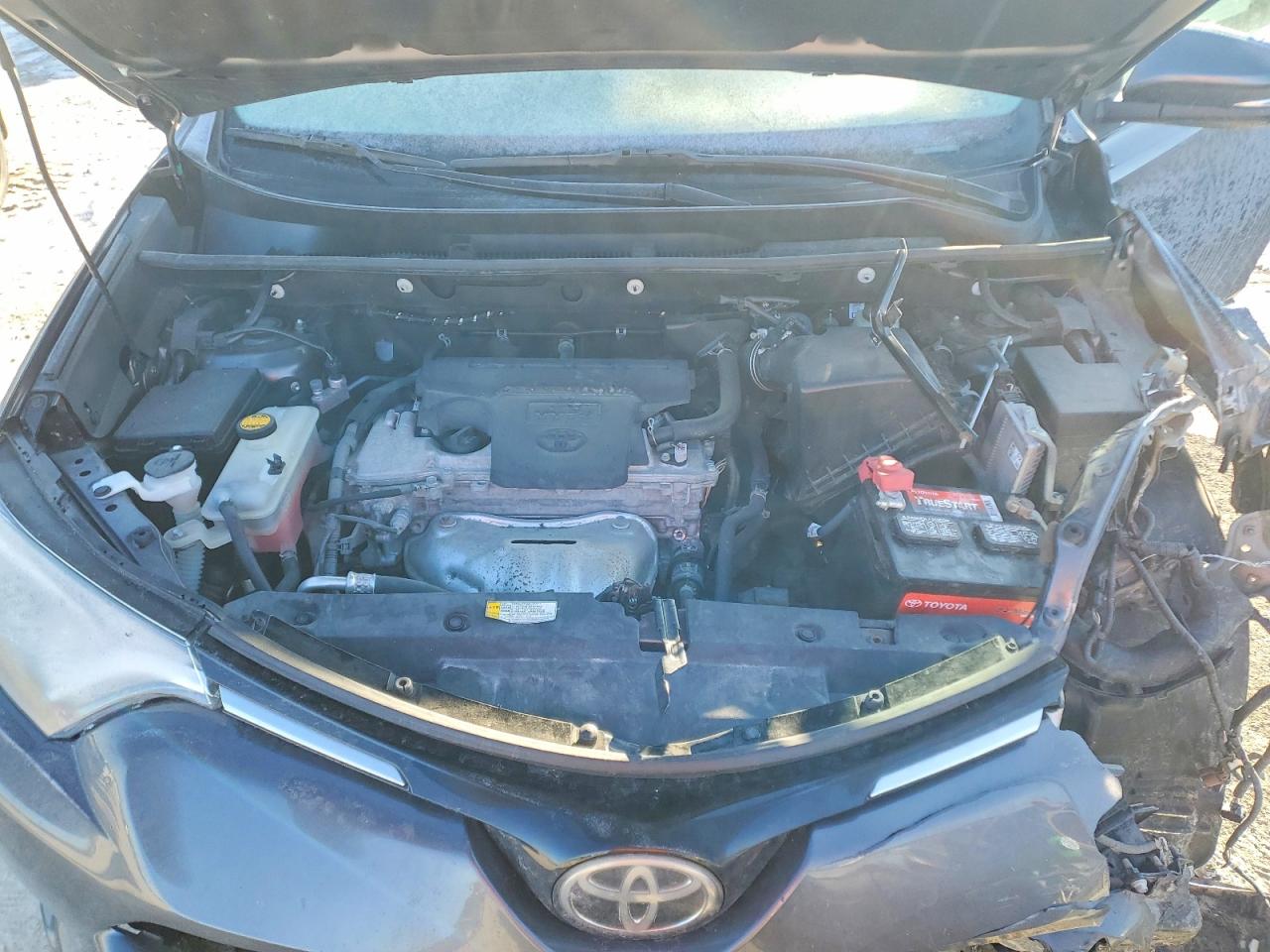 2017 TOYOTA RAV4 XLE photo 23