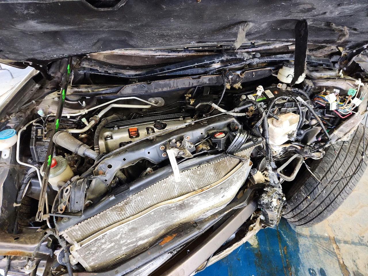 2010 HONDA CR-V EXL photo 12