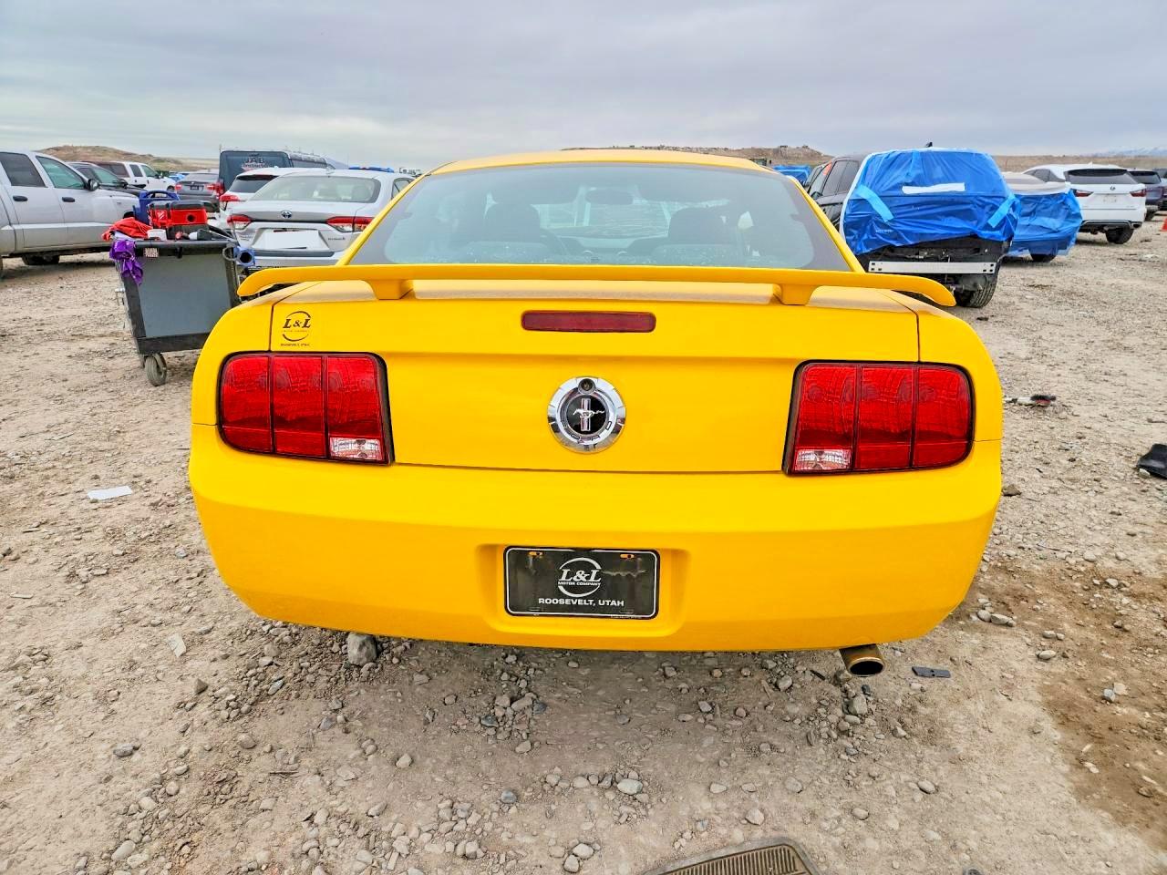2006 FORD MUSTANG photo 11