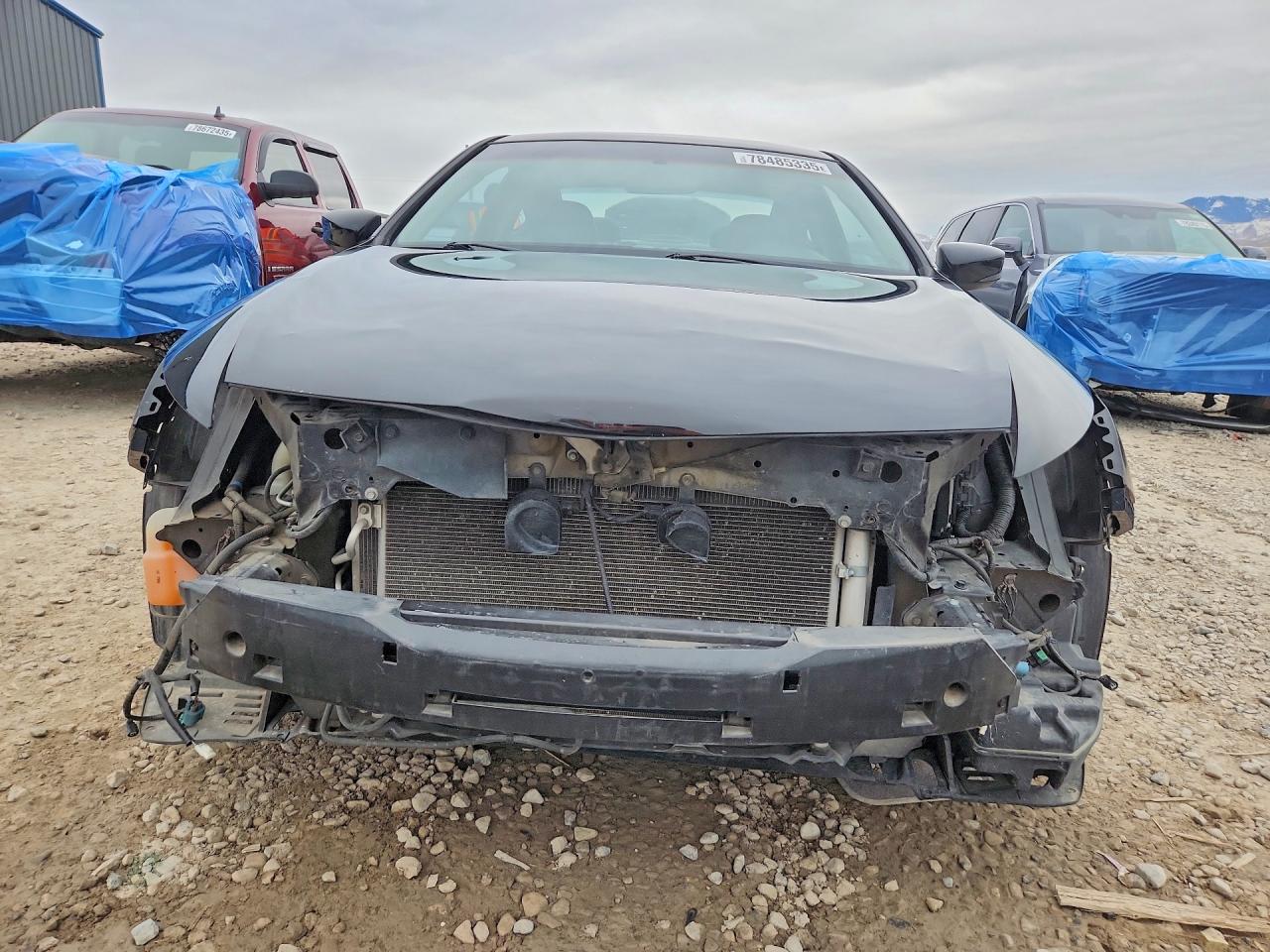 2010 HONDA ACCORD EXL photo 5