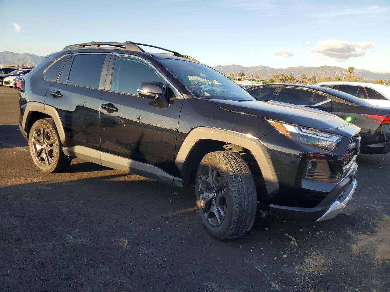2022 TOYOTA RAV4 ADVENTURE photo 10