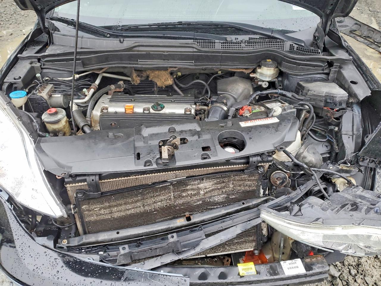 2009 HONDA CR-V EX photo 12