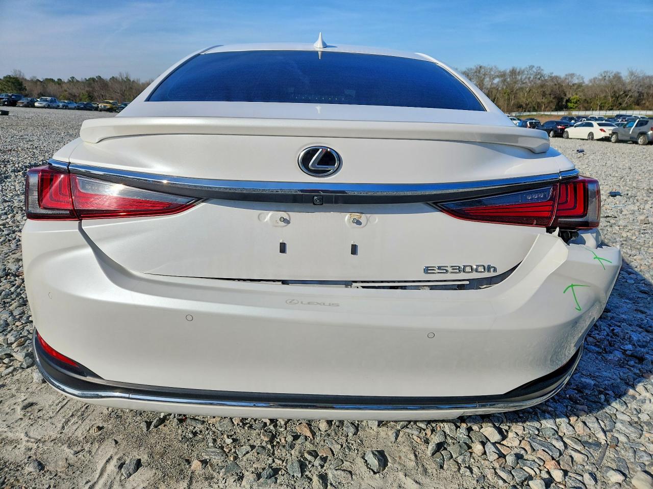 2025 LEXUS ES 300H BASE photo 6