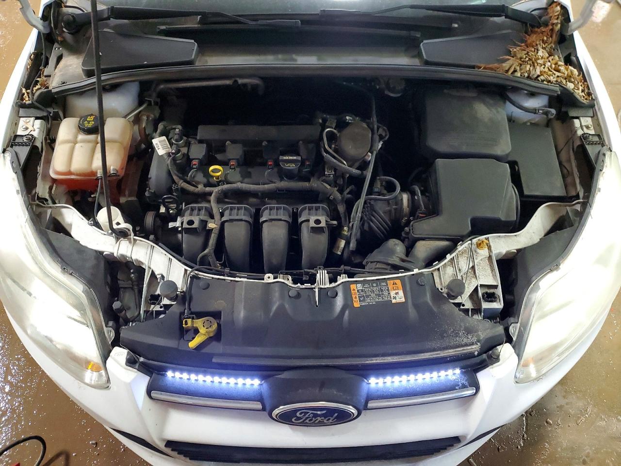 2014 FORD FOCUS SE photo 31