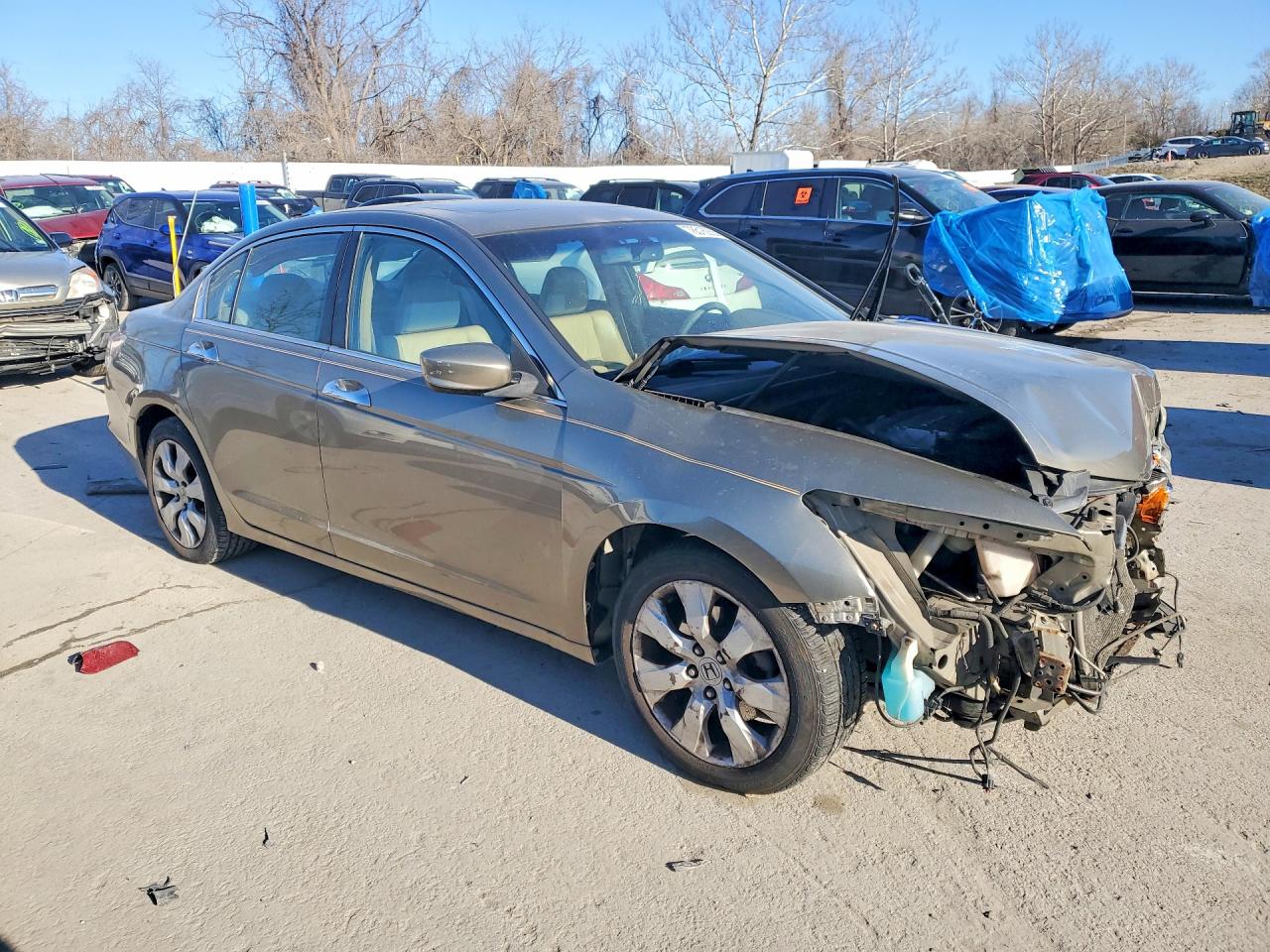 2008 HONDA ACCORD EXL photo 7