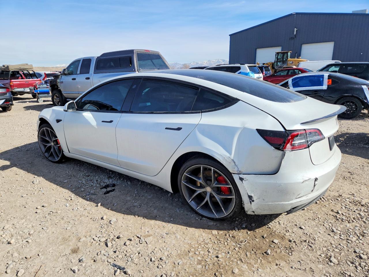 2023 TESLA MODEL 3 photo 3