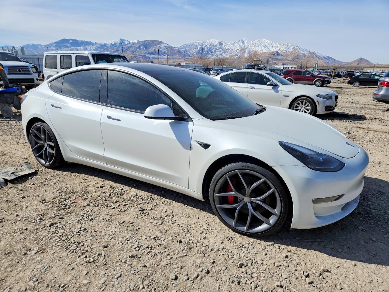 2023 TESLA MODEL 3 photo 7