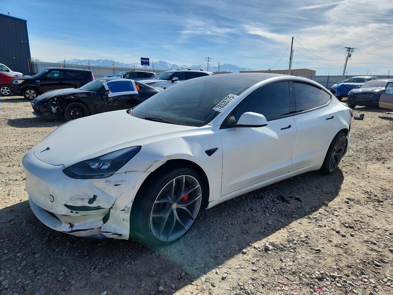 2023 TESLA MODEL 3
