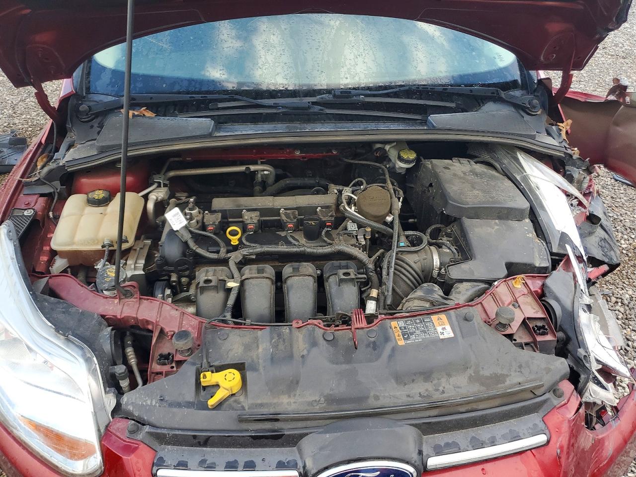 2014 FORD FOCUS SE photo 11