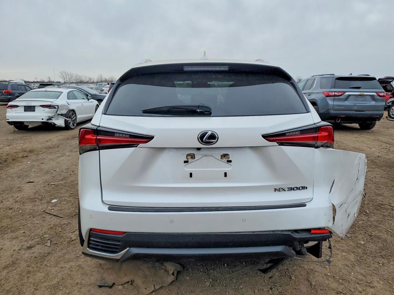 2021 LEXUS NX 300H BASE photo 6