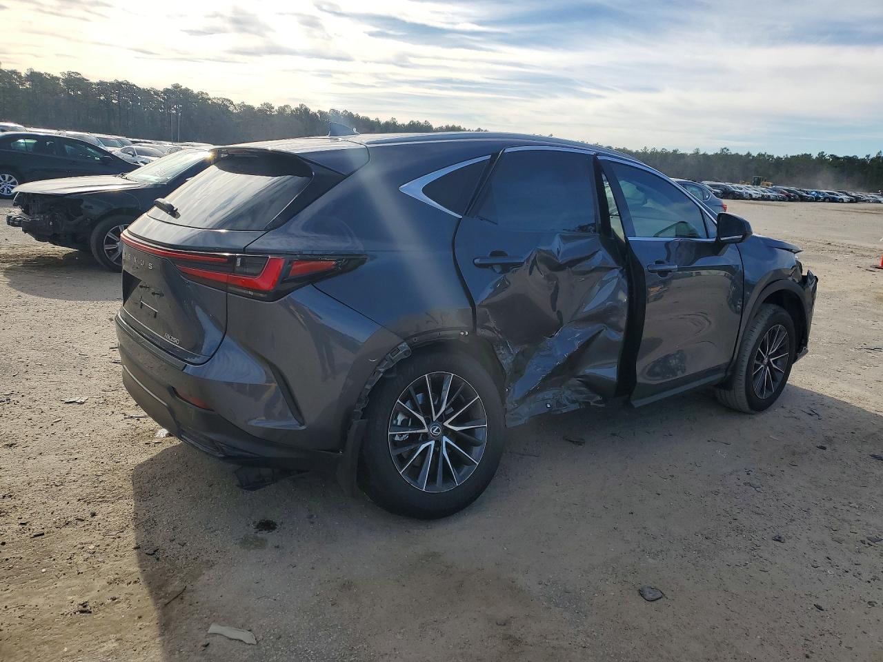 2024 LEXUS NX 250 BASE photo 3