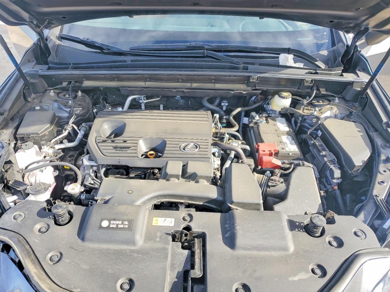 2024 LEXUS NX 250 BASE photo 12