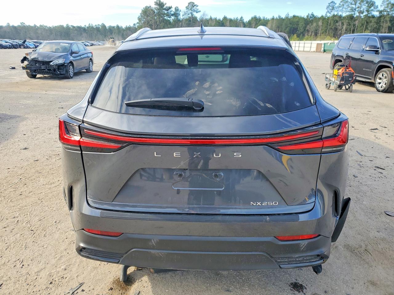 2024 LEXUS NX 250 BASE photo 6
