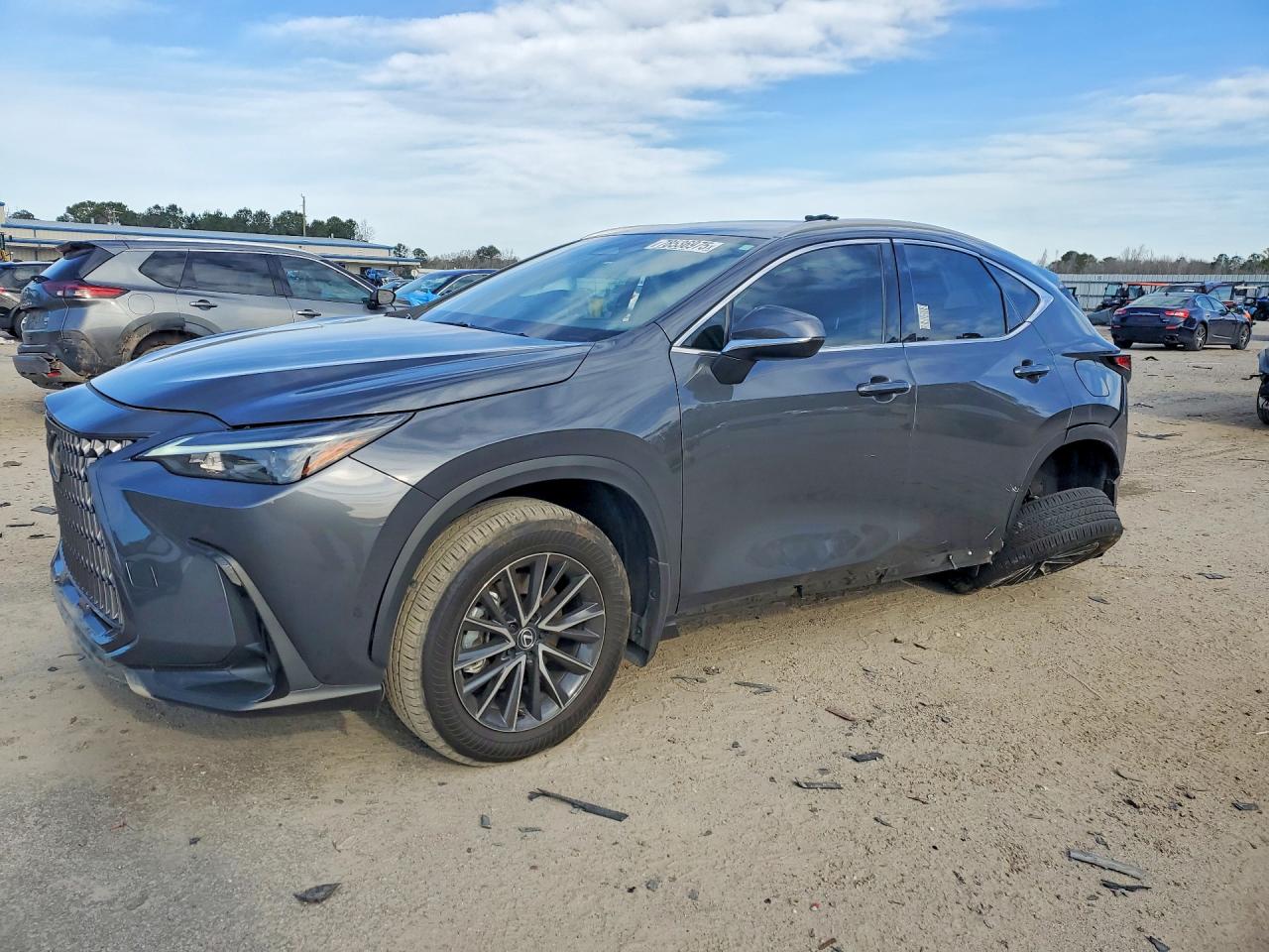 2024 LEXUS NX