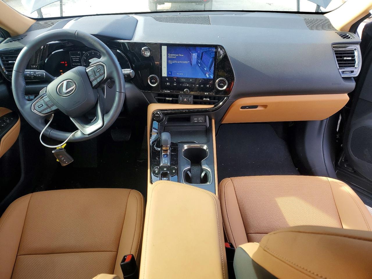 2024 LEXUS NX 250 BASE photo 8