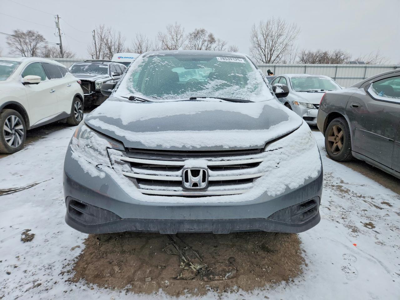 2014 HONDA CR-V LX photo 5