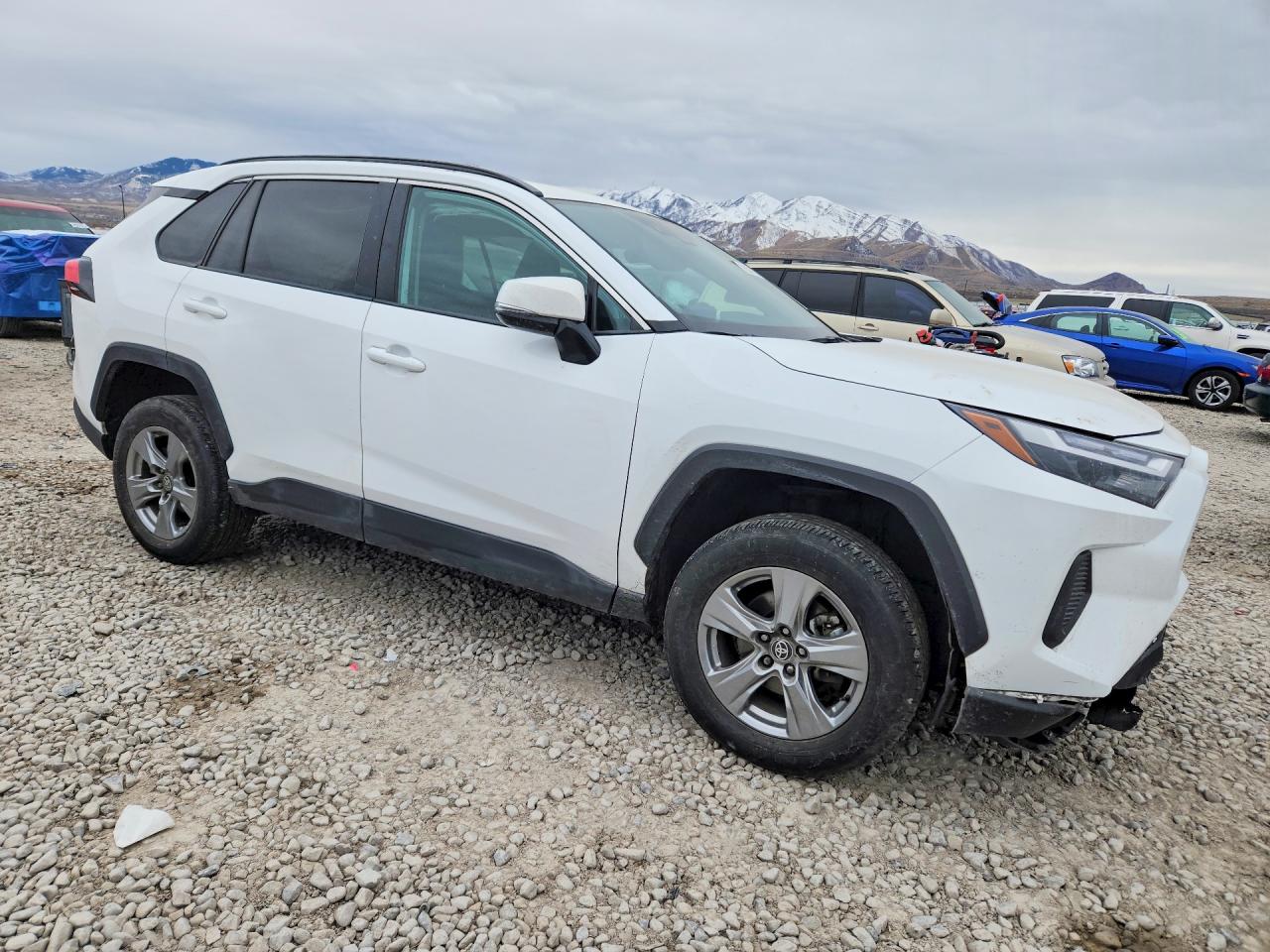 2024 TOYOTA RAV4 XLE photo 4