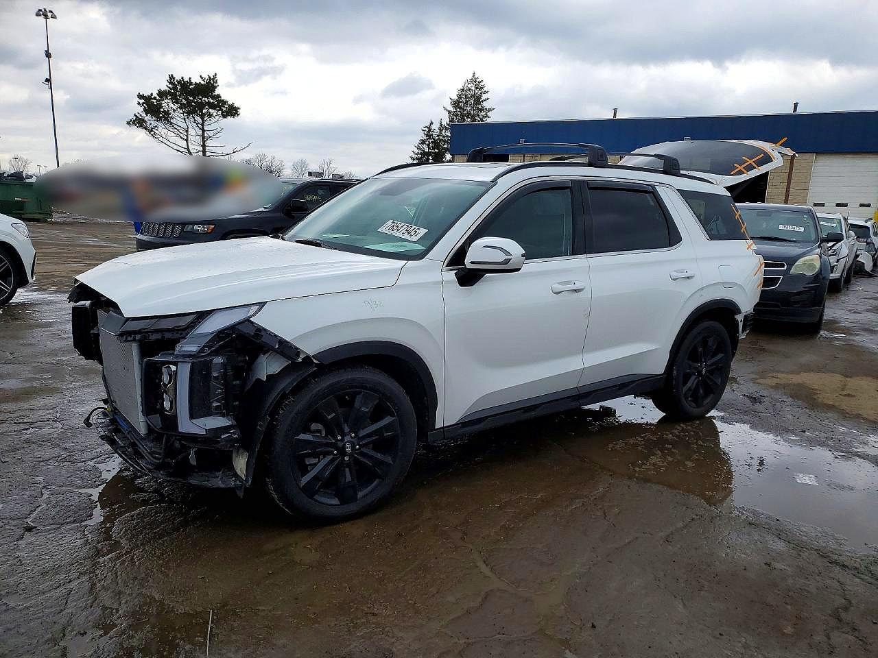 2024 HYUNDAI PALISADE