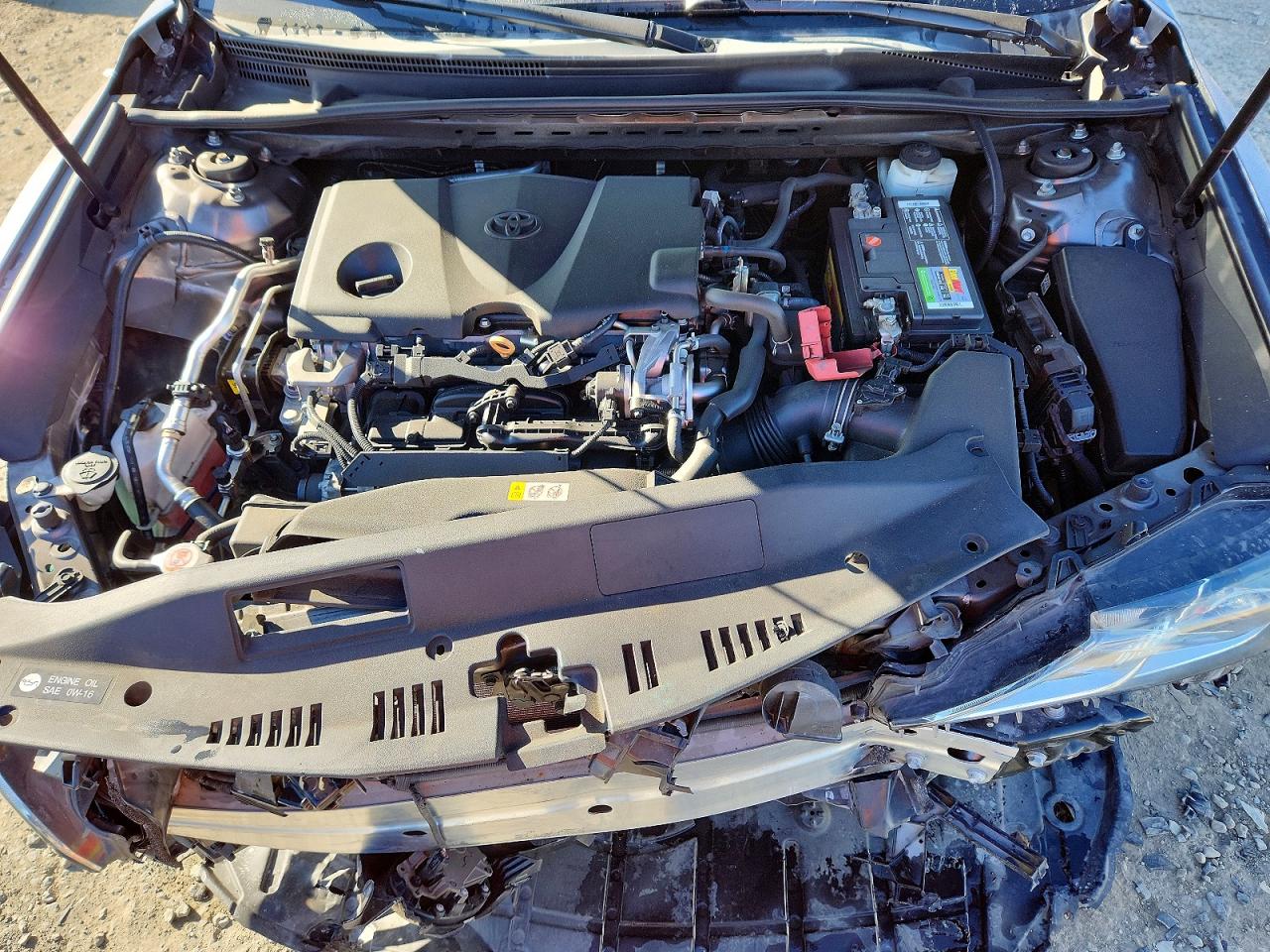 2019 TOYOTA CAMRY LE photo 11
