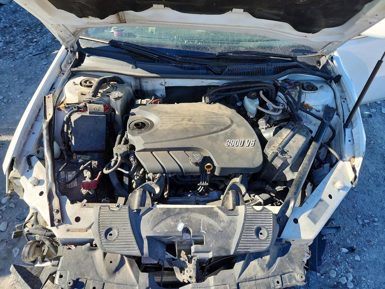 2011 CHEVROLET IMPALA POLICE photo 11