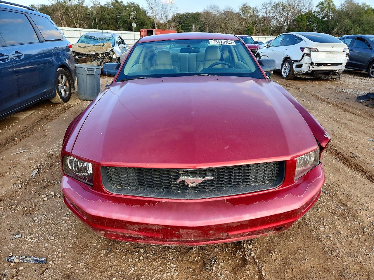 2005 FORD MUSTANG photo 9