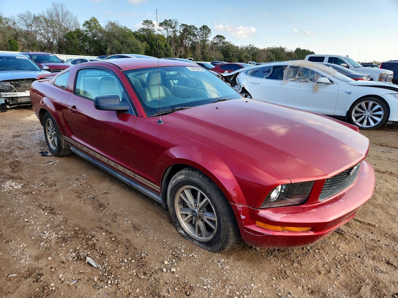 2005 FORD MUSTANG photo 7