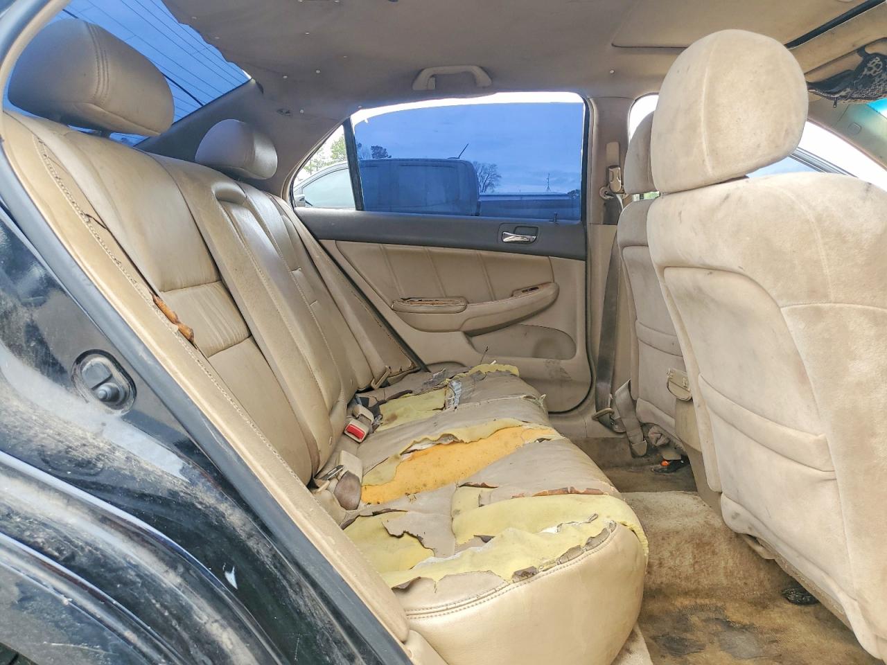 2005 HONDA ACCORD EX photo 10