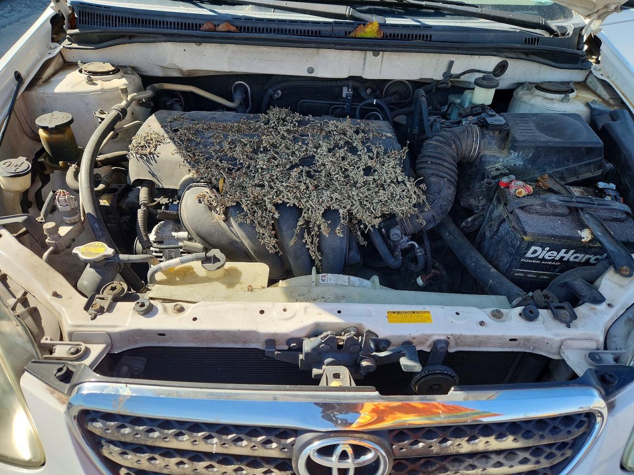 2007 TOYOTA COROLLA CE photo 21