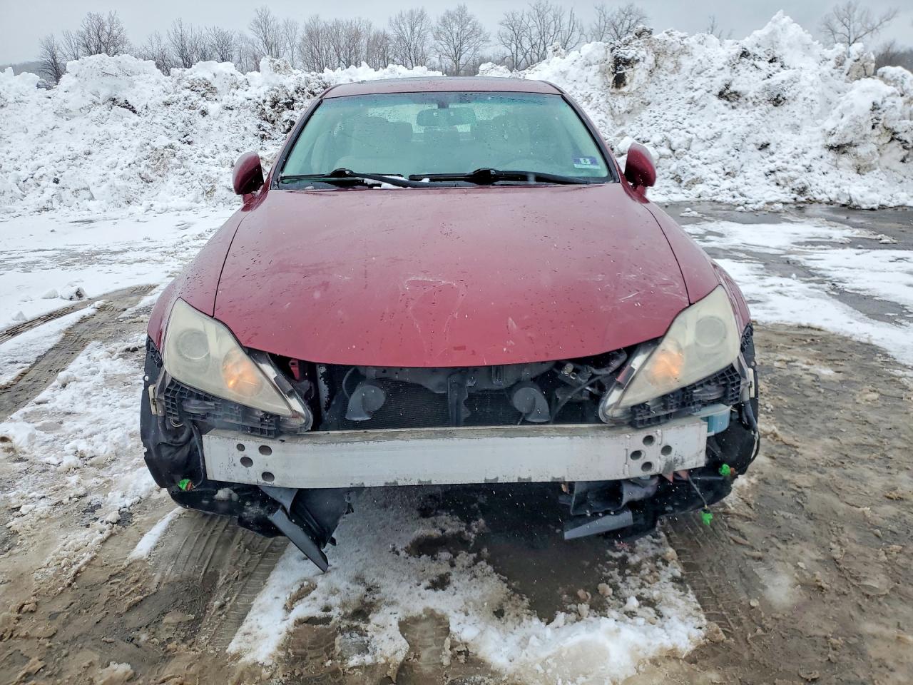 2009 LEXUS IS 250 photo 5
