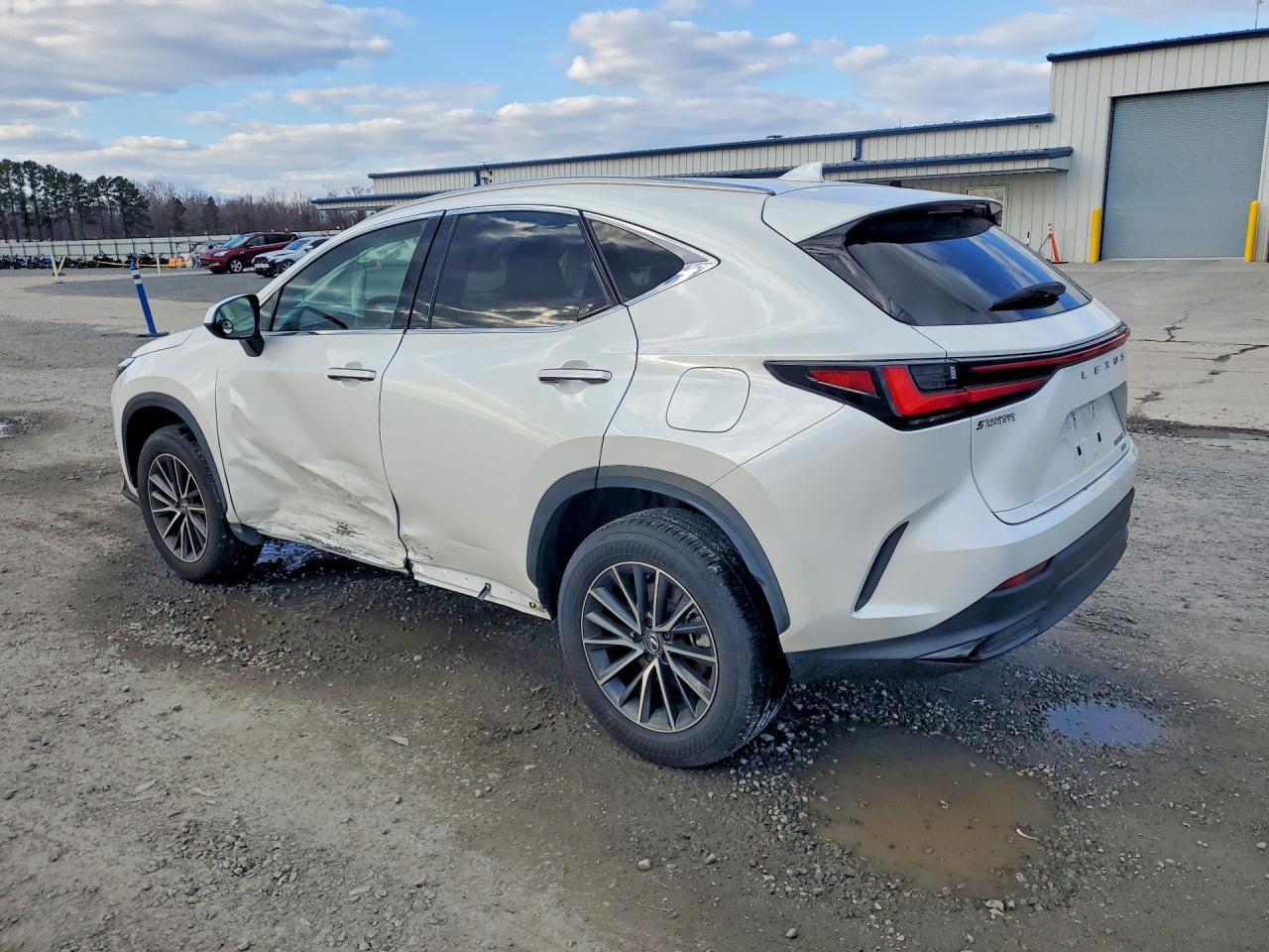 2024 LEXUS NX 350 BASE photo 4